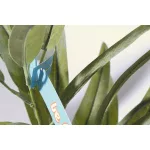 PlantTag-egyedi-novenycimke