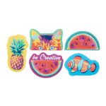 ShapeCam-egyedi-webkamera-kitakaro