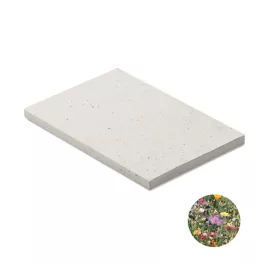 SEED-BOOK