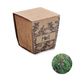 MINT-KIT