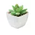 ARTIGRAP