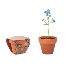 FORGET-ME-NOT