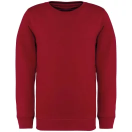 NS403-KIDS039-ECO-FRIENDLY-ROUND-NECK-SWEATSHIRT