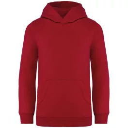 NS404-KIDS-HOODED-SWEATSHIRT