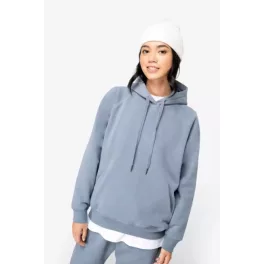 NS422-LADIES039-ECO-FRIENDLY-RAGLAN-HOODED-SWEATSH